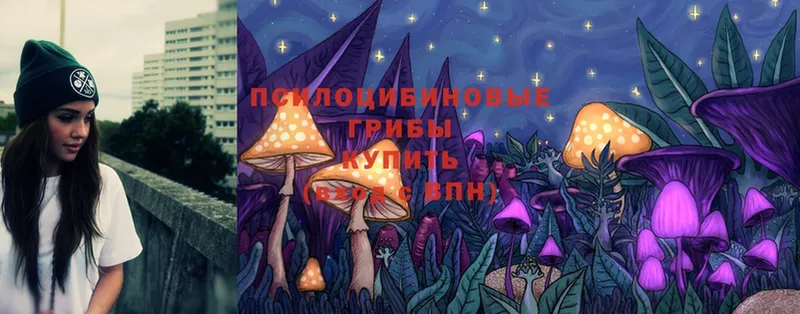 купить  цена  Ковров  Галлюциногенные грибы Magic Shrooms 